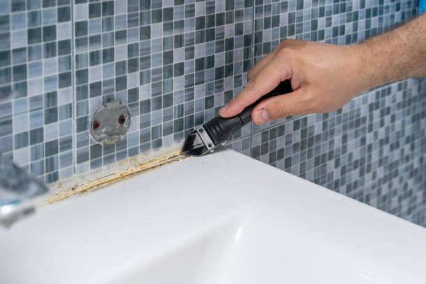 Best Mold Remediation for Specific Building Types in Wilmington, DE